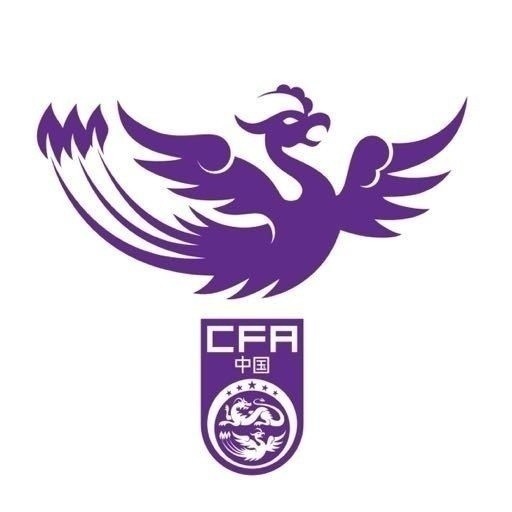  津媒：U17女足明日起两战日本定位整体实力，默契度有提升空间