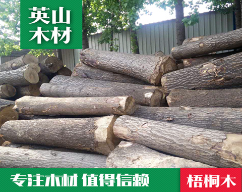 香蕉视频APP免费